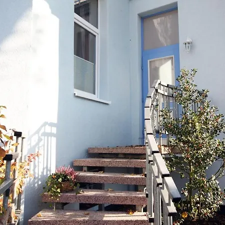 Warnemuende 3 Moewen 38559 *